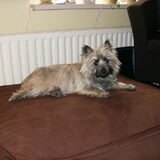 Dit is dus onze lana. Best lief he?