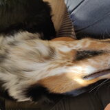 Foto van Angelique, Kleine Maybe en Tess <3