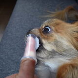 Zo'n grote vinger in dat kleine bekkie.