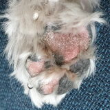 Foto van Binky & Rocky