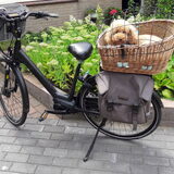 Foto van Loesje