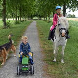 Mijn kleinkinderen Lara en Bjorn met hond Loca en pony Pip.