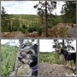 Foto van Ciska en Spanjaardje Moh (Bambi r.i.p.)
