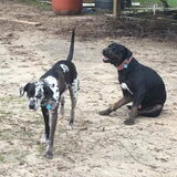 Foto van Lola&Jojo