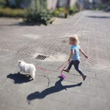 Foto van Dutchshepherdteam