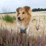 Foto van Femke