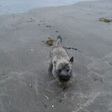 Hier was ze nog klein, lekker naar het strand.
