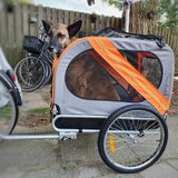 Foto van Dutchshepherdteam