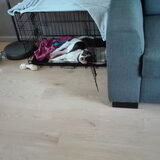 Foto van Ingrid