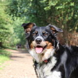 Foto van Angelique, Kleine Maybe en Tess <3