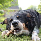 Foto van Angelique, Kleine Maybe en Tess <3