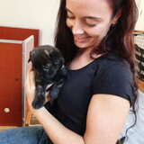 Foto van Dutchshepherdteam