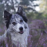 Foto van Angelique; Bruno, Charlie & Fenna
