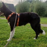 Foto van Angelique, Kleine Maybe en Tess <3