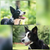 Foto van Angelique, Kleine Maybe en Tess <3