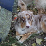 Foto van Danielle, Kyra*Kaylin*, Djaira en Djaidey
