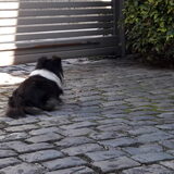 Foto van Kath