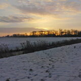 Samen met Balou het winterzonnetje op zien komen.