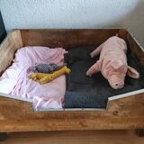 Foto van Dutchshepherdteam