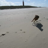 Foto van yooop