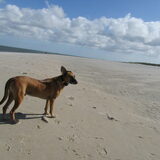 Foto van yooop