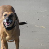 Foto van yooop