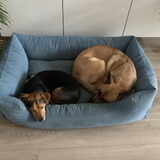 Samen is gezellig