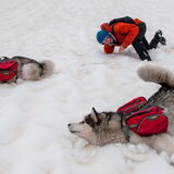 Foto van Alaska's Finest!