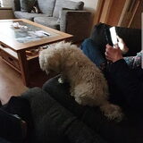 Foto van Lucia, Lizzy & Ziva