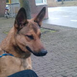 Foto van Renée & Gino!