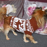 Een leuk truitje (vind ik) maar Lotus vind net als Balou de fleece…