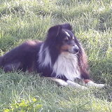 Foto van Kath
