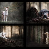 Foto van Manon - Suus & Isa
