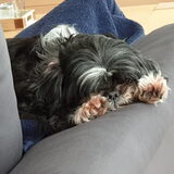 Foto van Els