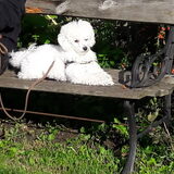 Foto van Kath