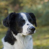 Foto van Angelique; Bruno, Charlie & Fenna