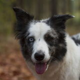 Foto van Angelique; Bruno, Charlie & Fenna
