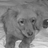 Amber in december 2009. Dus 3 maanden. Wat vliegt de tijd.....