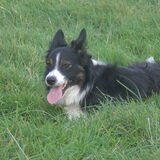 Finnian