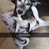 Foto van Eveline