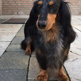 Wat moet je?