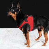 Balou foto uit de shoot, Balou vond het verschrikkelijk en werkte dus…