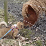 Foto van Wendy