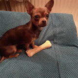 Foto van Liesbeth/Skinny