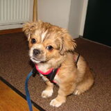 Foto van Wendy