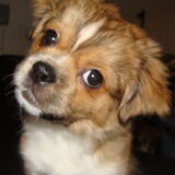 Foto van Wendy