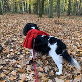 Herfst.