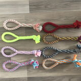 Foto van Sigrid, Sandy, Diva & Nala