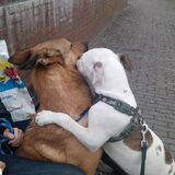 Foto van Chantal en Rex!