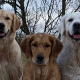 Foto van Suus